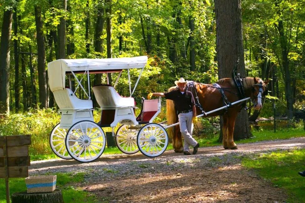 Peacock Road Family Farm - West Michigan Wedding Venues